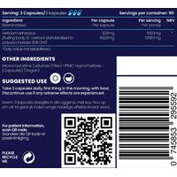Genologix Lions Mane (Cognition Enhancer)